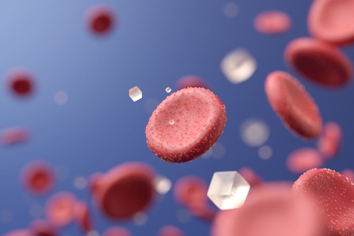 Metabolismo de la glucosa: ¿cómo funciona?