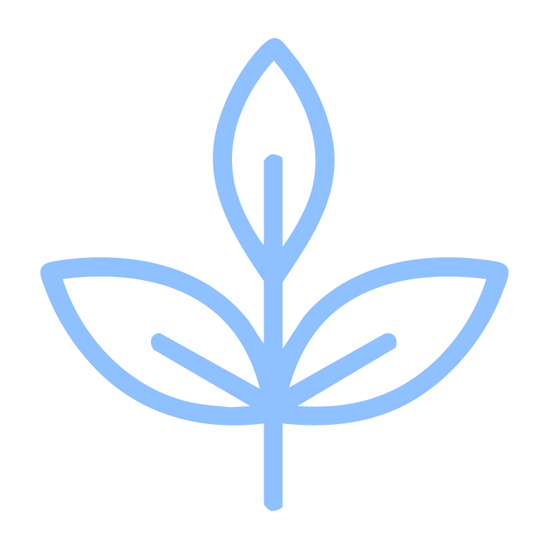icono1