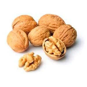 nueces-diabetrics.jpg